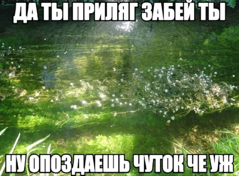 Утренняя подборочка