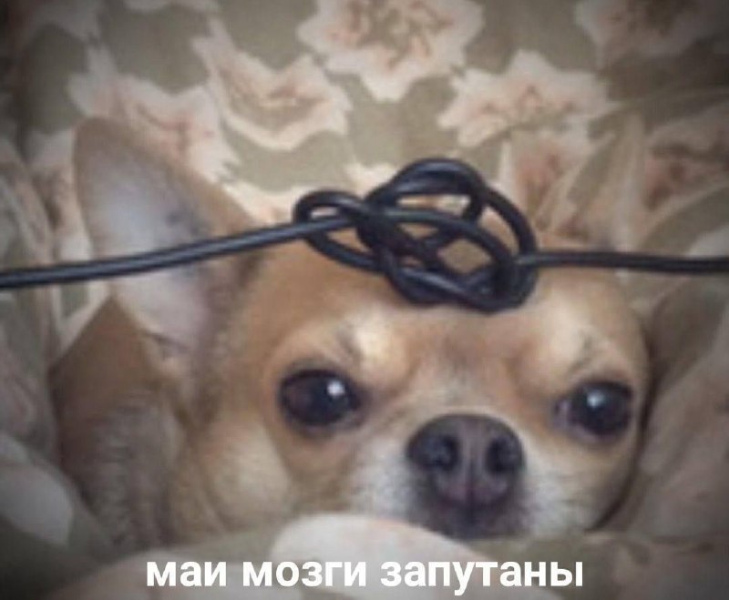 состояние под конец учебного года: