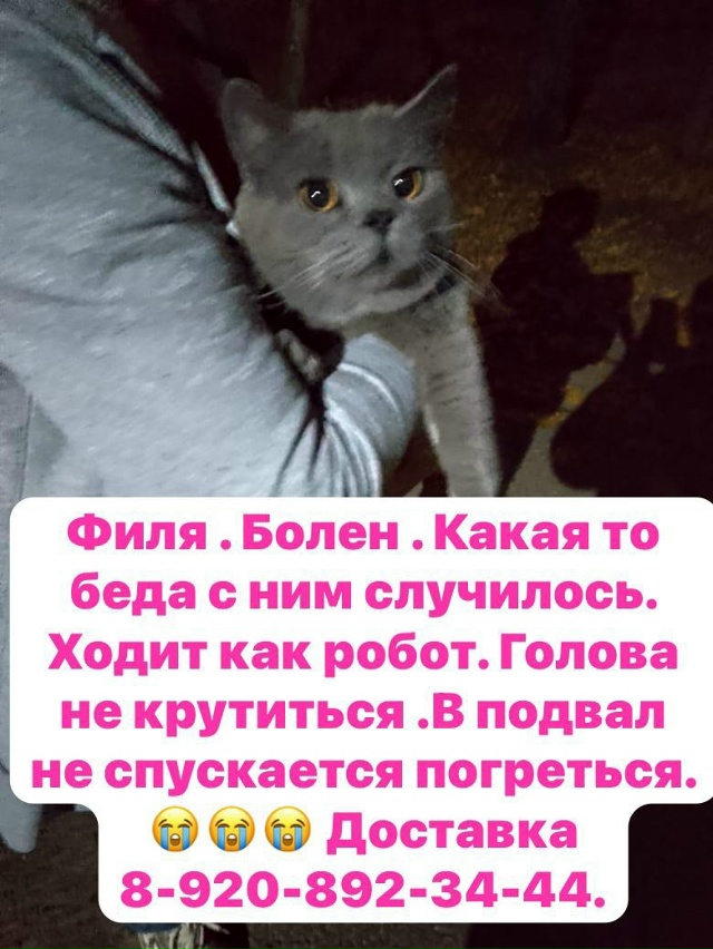 Киров . Калужской обл. 🆘🆘🆘 БЕДА 😭😭😭 . Филя живет н?...