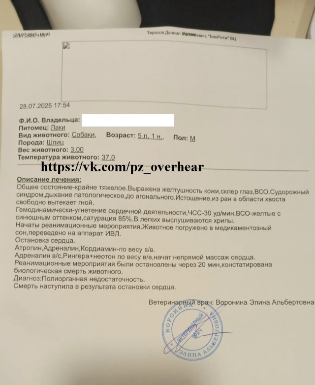Друзья!
Мы снова к вам с просьбой помочь нам собрать де?...