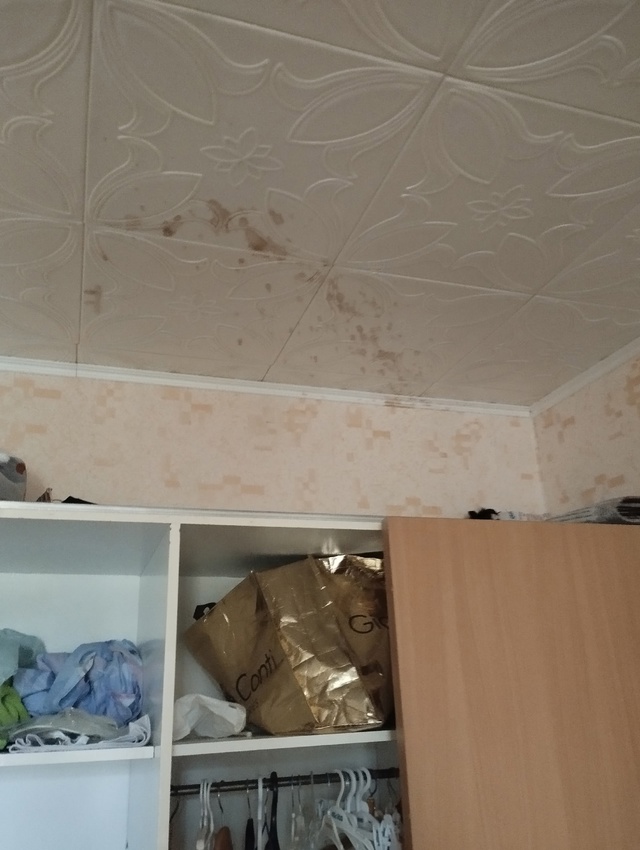 Снимал у хозяйки квартиру а как оказалась что в этой кв...