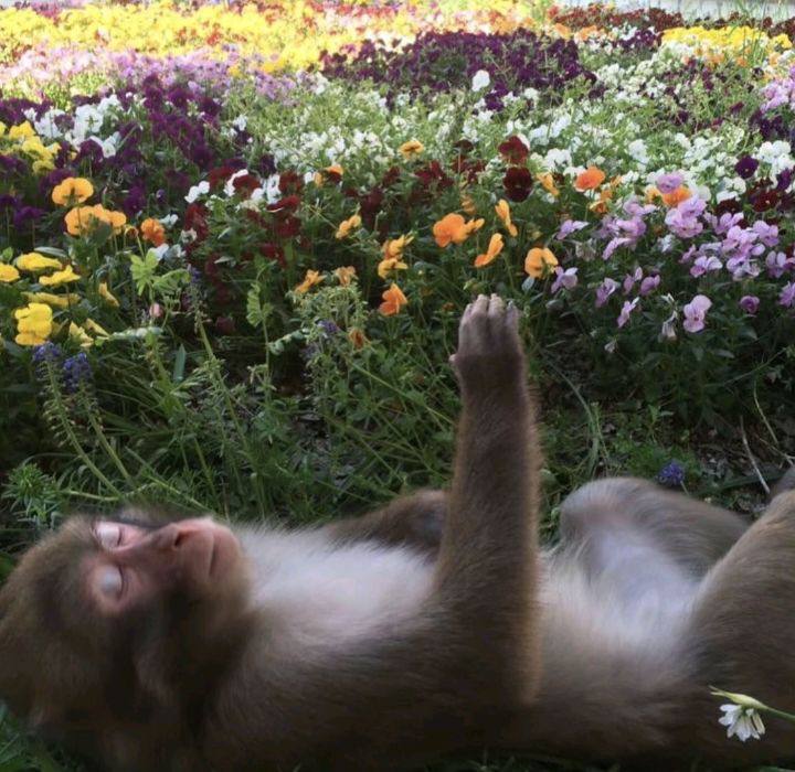 как ощущается лечь спать в проветренной комнате: