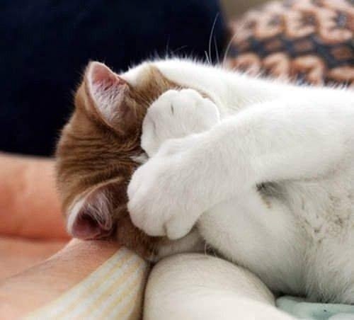 Пeрeдaю привeт вceм, кто задолбался, и хочу сказать им - ре?...