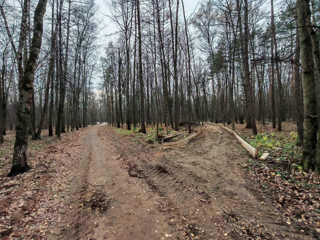 Вот, пожалуйста. Лес по улице Евстафьева решили заката?...