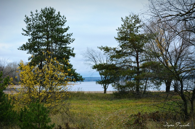 Место притяжения 👍