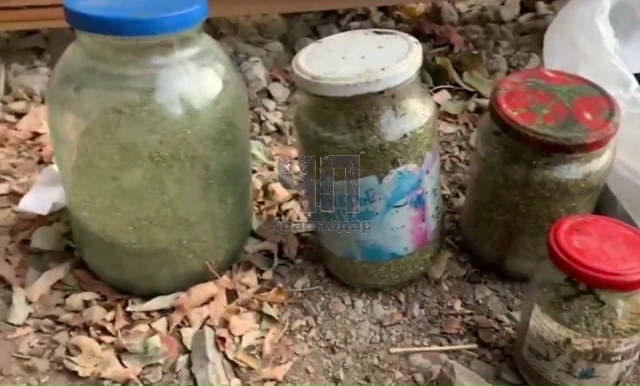 Пенсионер из Кубани, живущий в Брюховецком районе, соб?...