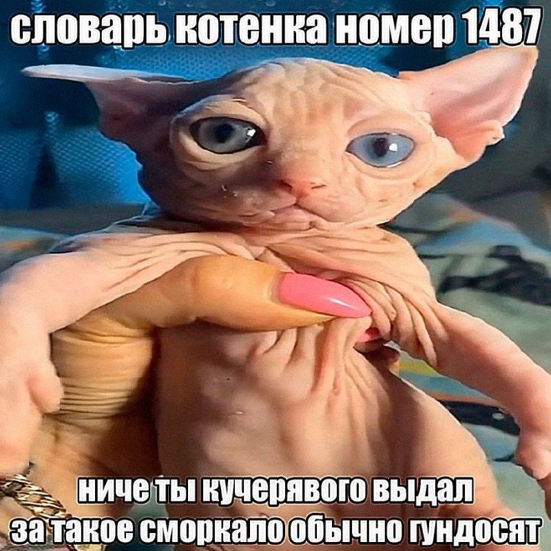 Утренняя подборочка