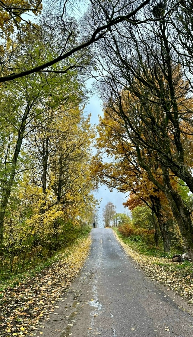 Золотой октябрь в Окуловке