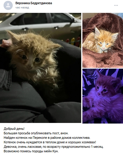 Пост добра. Распространите, пожалуйста.