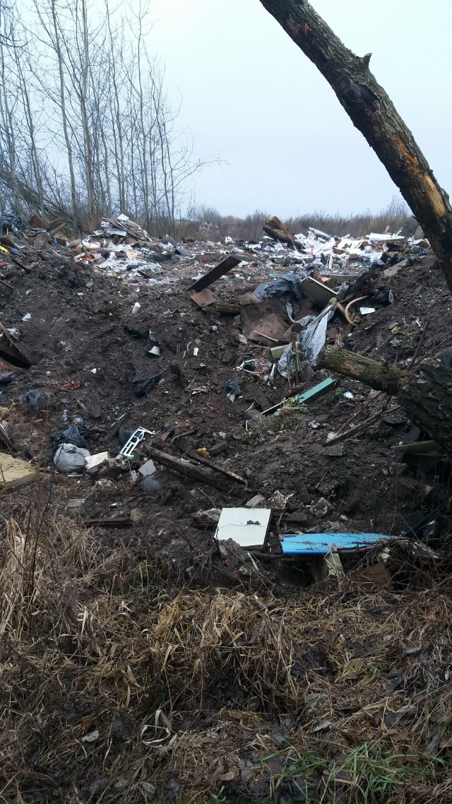 Вот такая вот картина недалеко от городских очистных, ?...