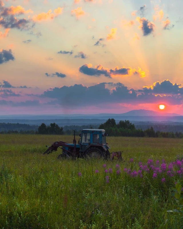🌄Лето в деревне/ Красновишерский район
Фото: Анатолий...