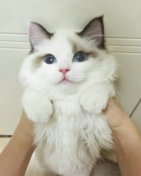 😍💕