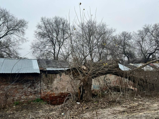 Жители улицы Волгоградской дом 1, сердечно благодарят ?...