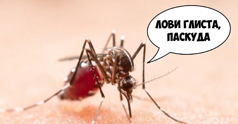 Комары в России начали переносить опасных паразитов.
Речь о дирофиляриях, которые могут поражать г