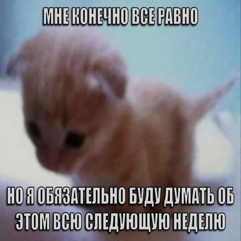 Ночная подборочка
Спать, режим