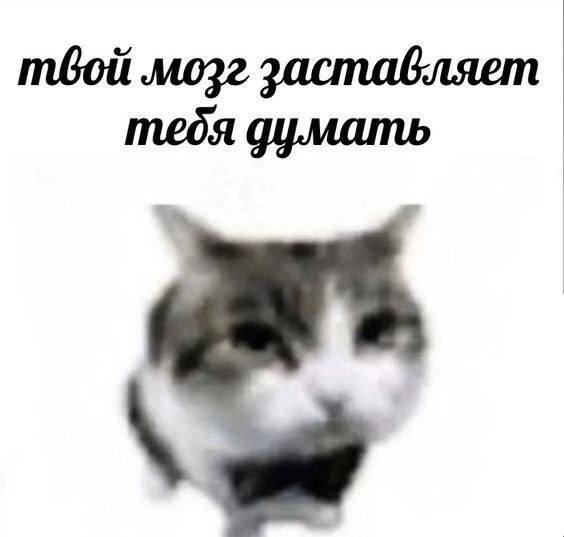 Утренняя подборочка