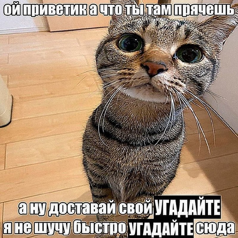 Утренняя подборочка