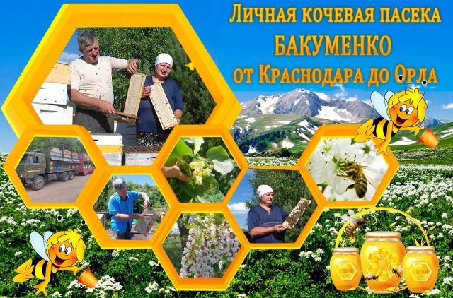 Всем здраствуйте дорогие жители города Питкяранта! 🐝 ...