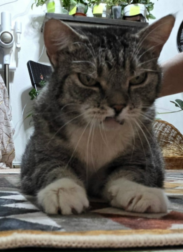 Соседка #Маня рада встрече