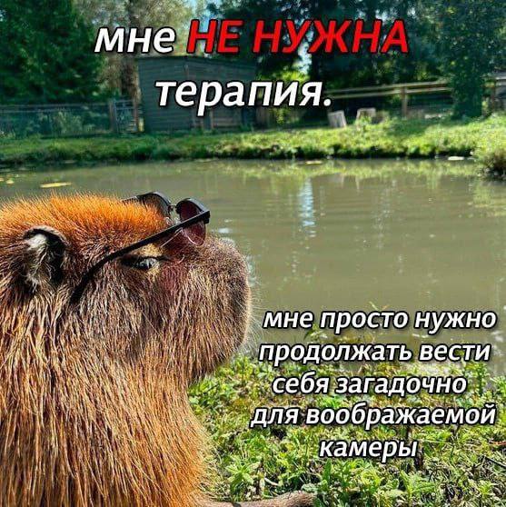Утренняя подборочка