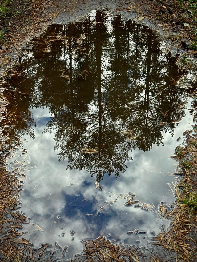 Межозёрный в осеннем отражении!