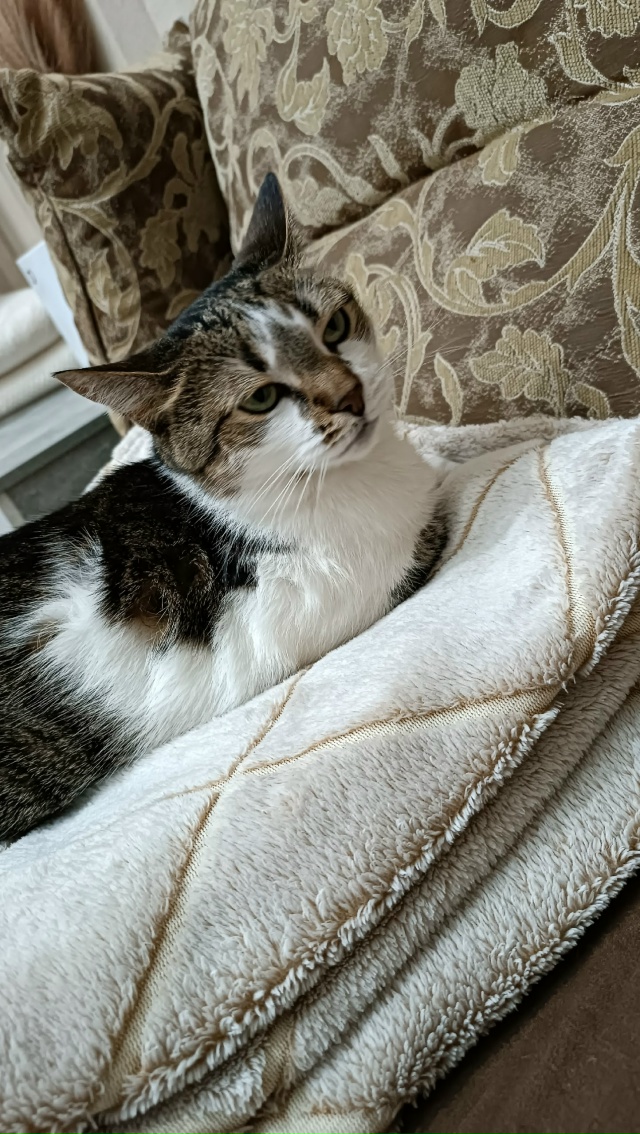 Подпись придумайте сами) 😒
#ЛарисаВячеславовна