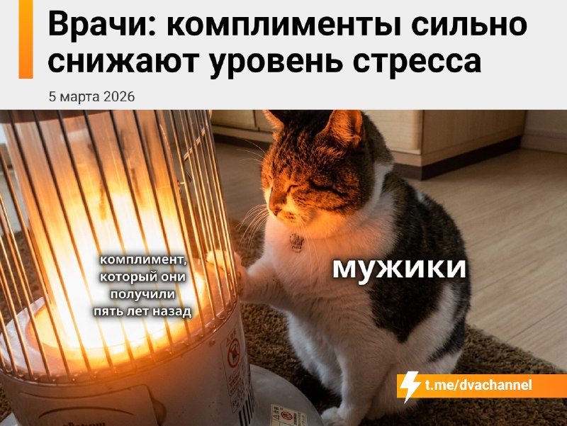 Комплименты отлично снимают стресс, рассказали врачи
Когда человек слышит слова поддержки, в мозге