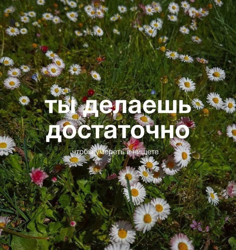 Утренняя подборочка