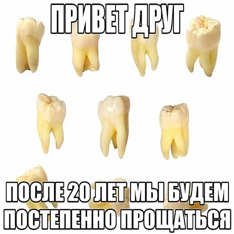 Утренняя подборочка
