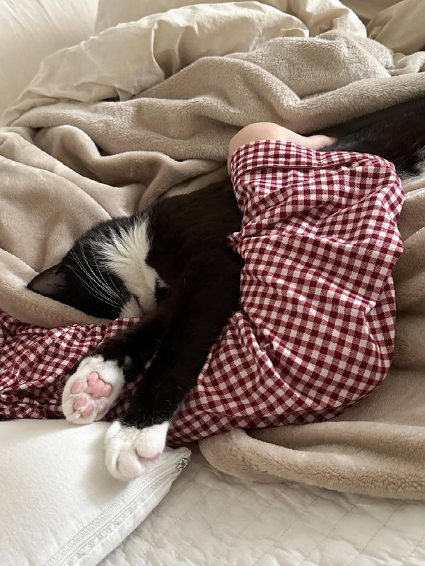 Вырубаемся споть :3