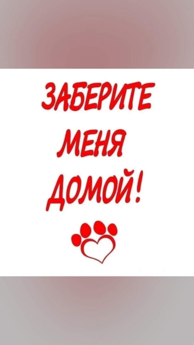❗Кировск, Лен. Обл.❗
❣️❣️❣️Максимальный репост❣️...