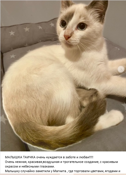 Пост добра. Распространите, пожалуйста.