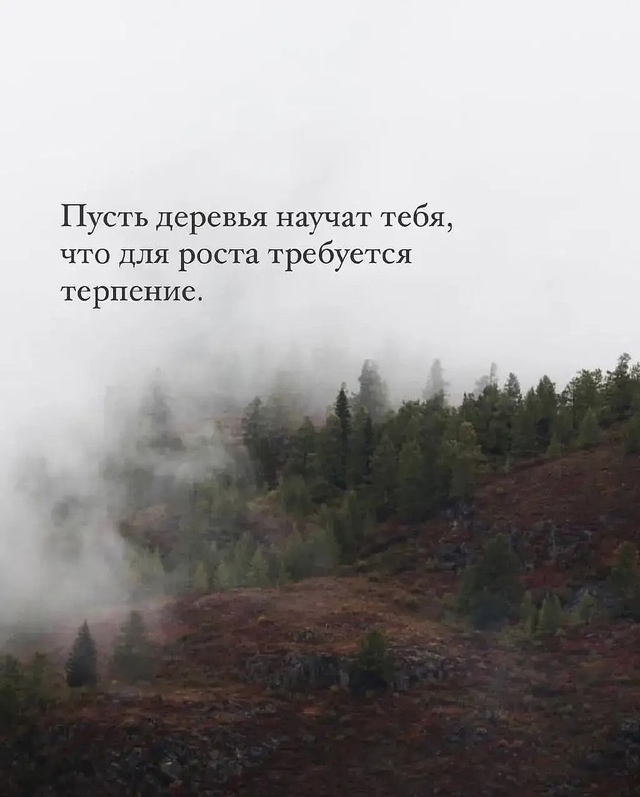 Учитесь у природы. Замечательные советы!