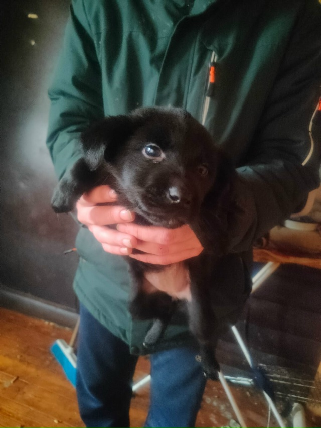 Пост шанс 🤞🏼‼️
Благодаря предыдущему посту пристро...