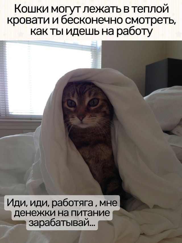 Доброе утро!