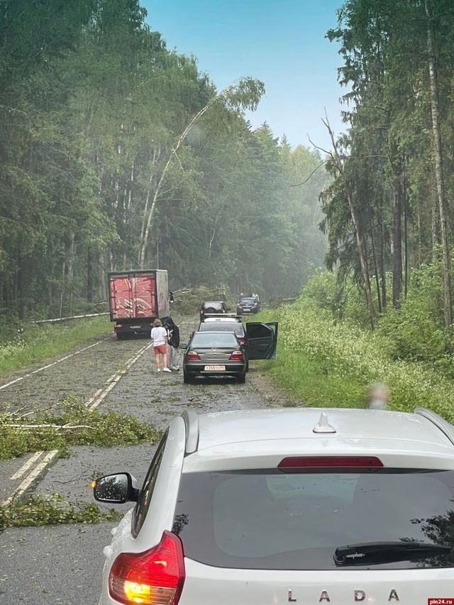 Последствия шторма в Псковской и Витебской областях
Ф...