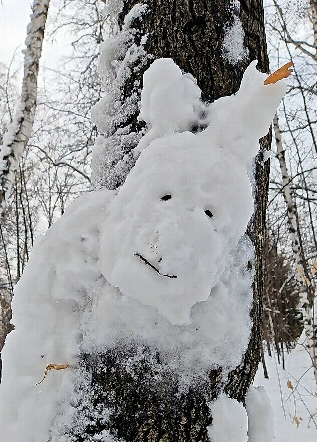 Зимниe зaбaвы вo двopaх Ηoвocибиpcкa ☃️