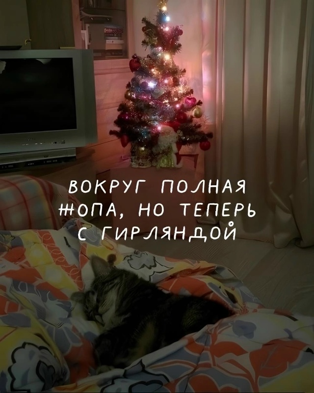 Доброе утро субботы 😴
Погода за окном так себе, бывало...