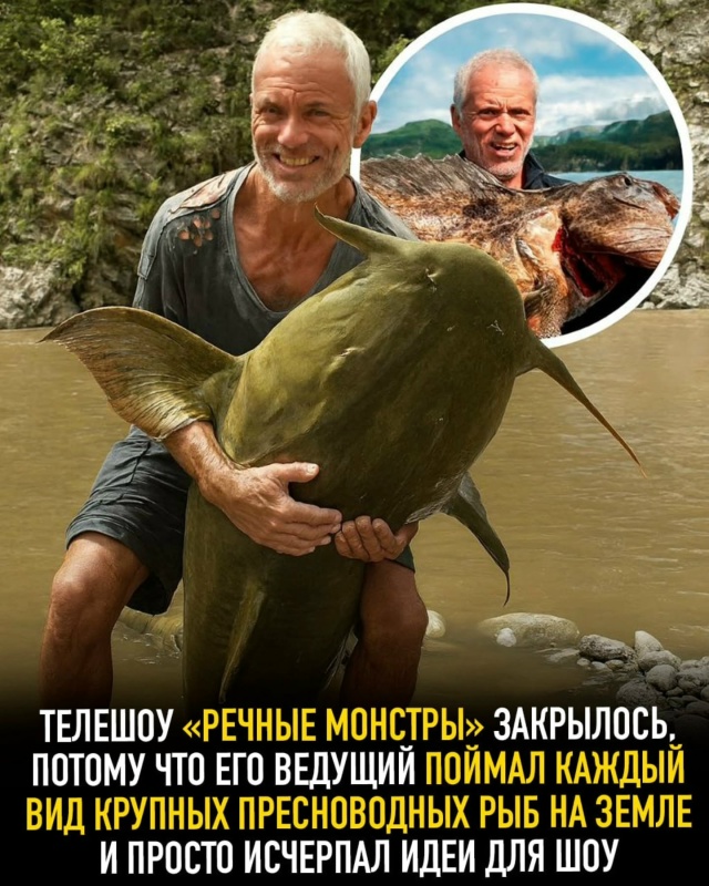 Подборка интересных фактов.