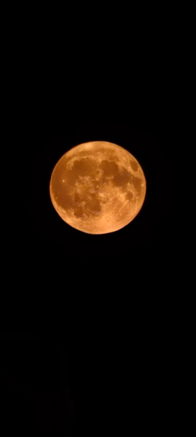 «Оленья Луна» взошла над Спутником 🌝
