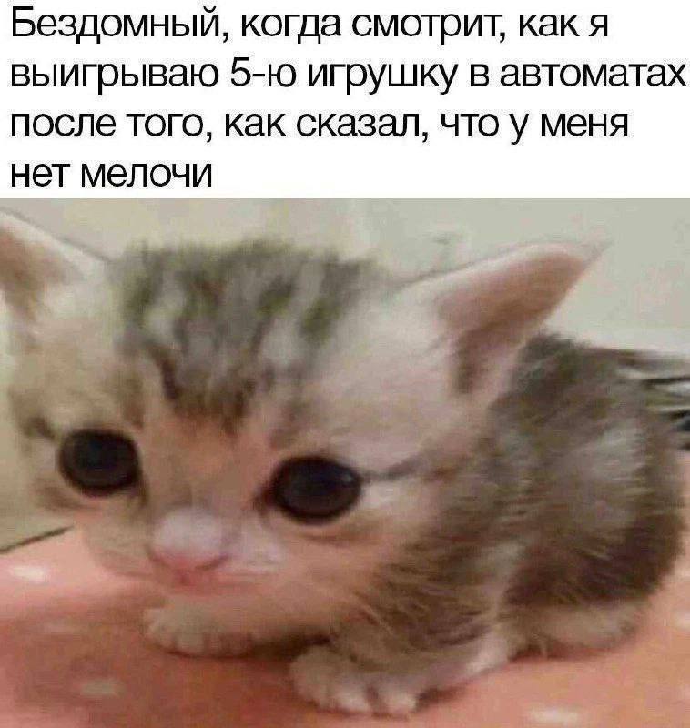 Утренняя подборочка