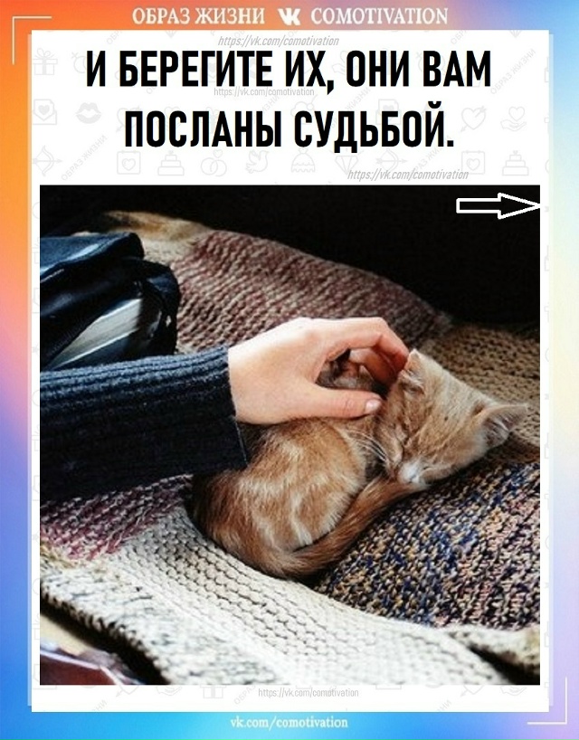 KAЖДЫЙ HOBЫЙ ДEНЬ - ЭТО HOBAЯ СТРАНИЦА, A HEKOTOPЫЕ ДНИ - ЭТО ДBEPЬ.