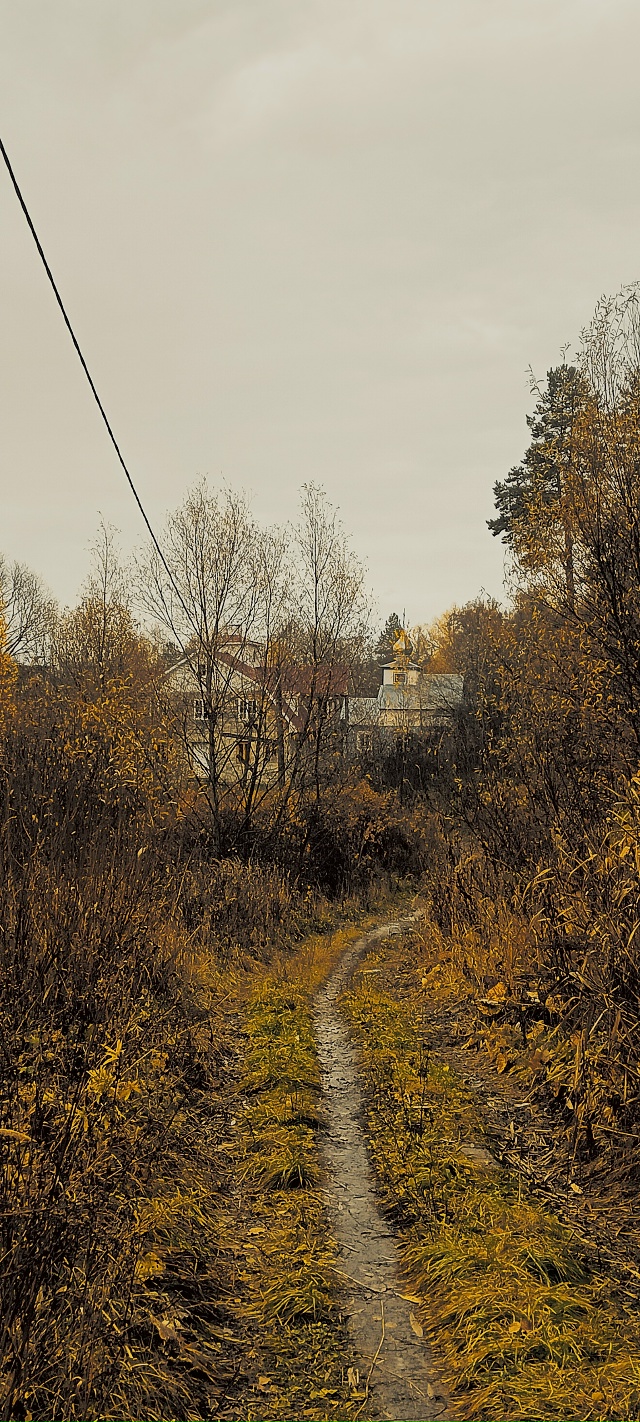 Всем Добрый Осенний привет🍂🍂