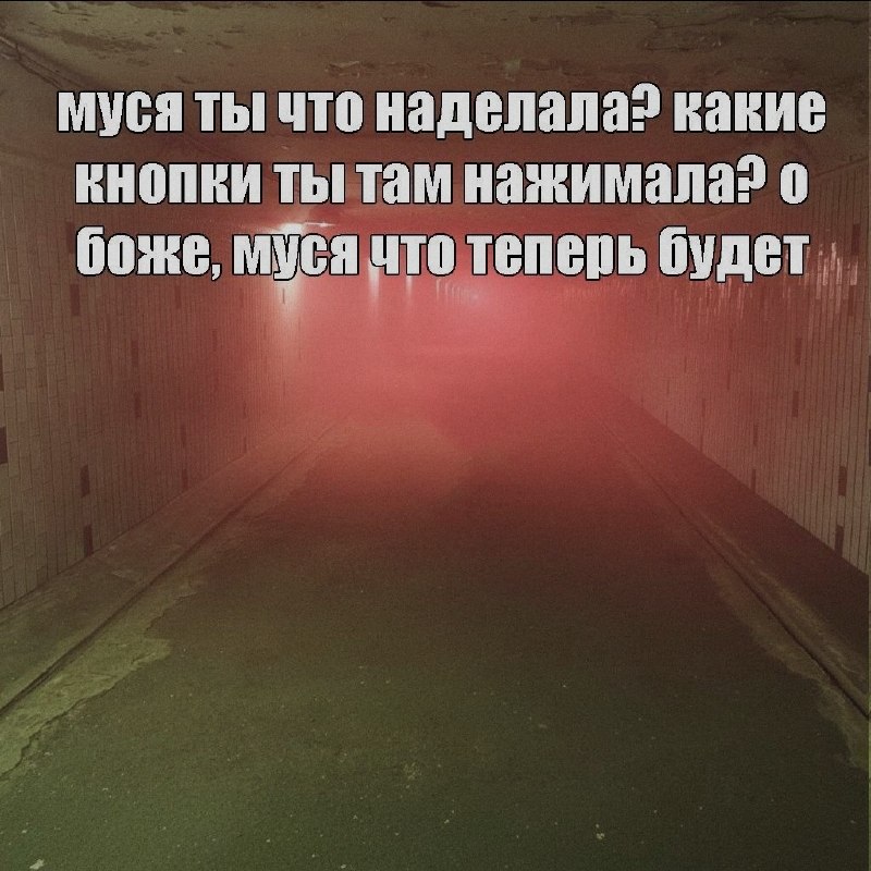 Ночная подборочка
Спать, режим