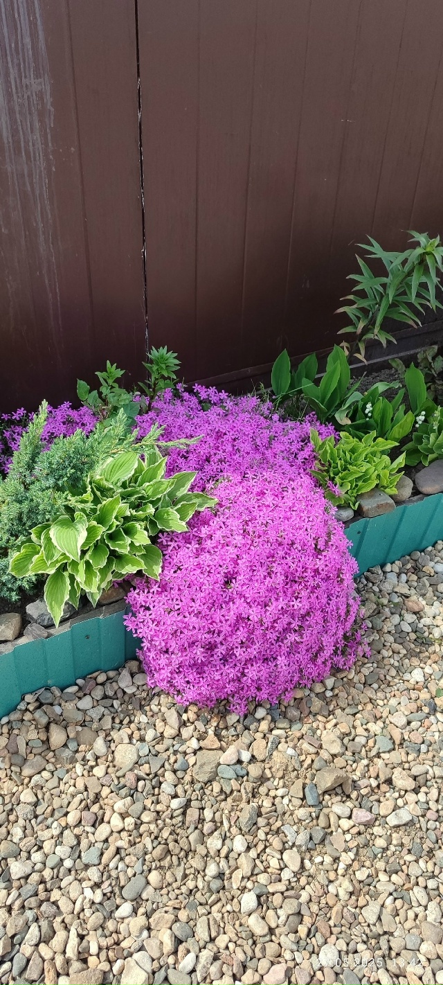 Частичка лета =) как прошло, успели отдохнуть и напитат?...