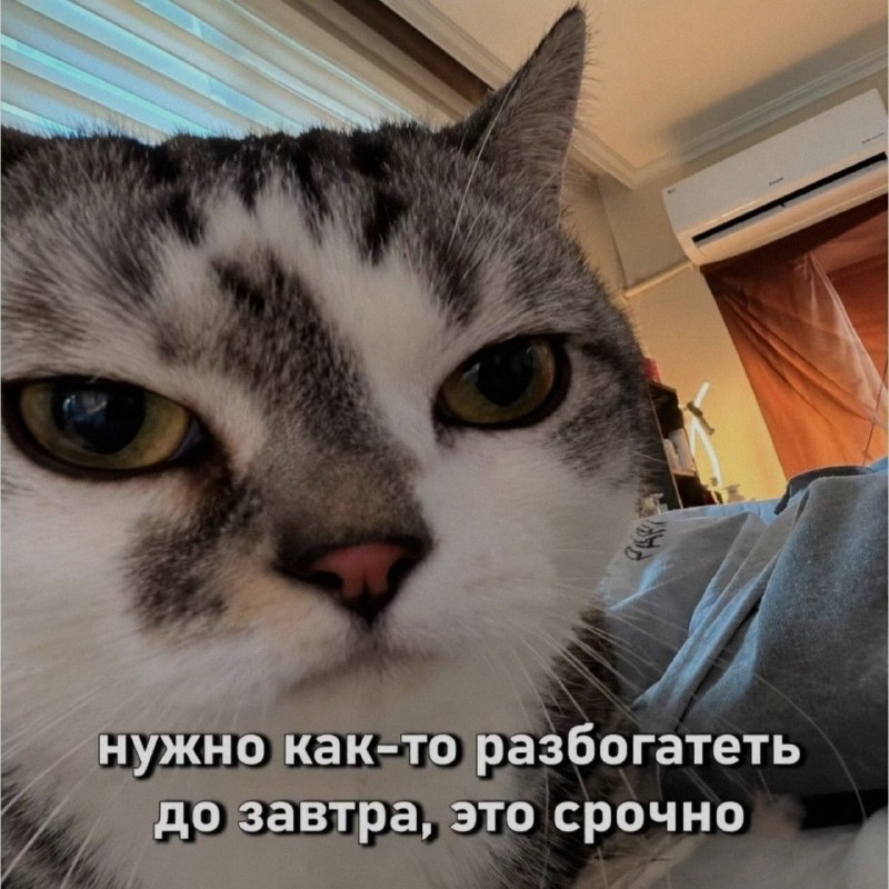 Ночная подборочка
Спать, режим