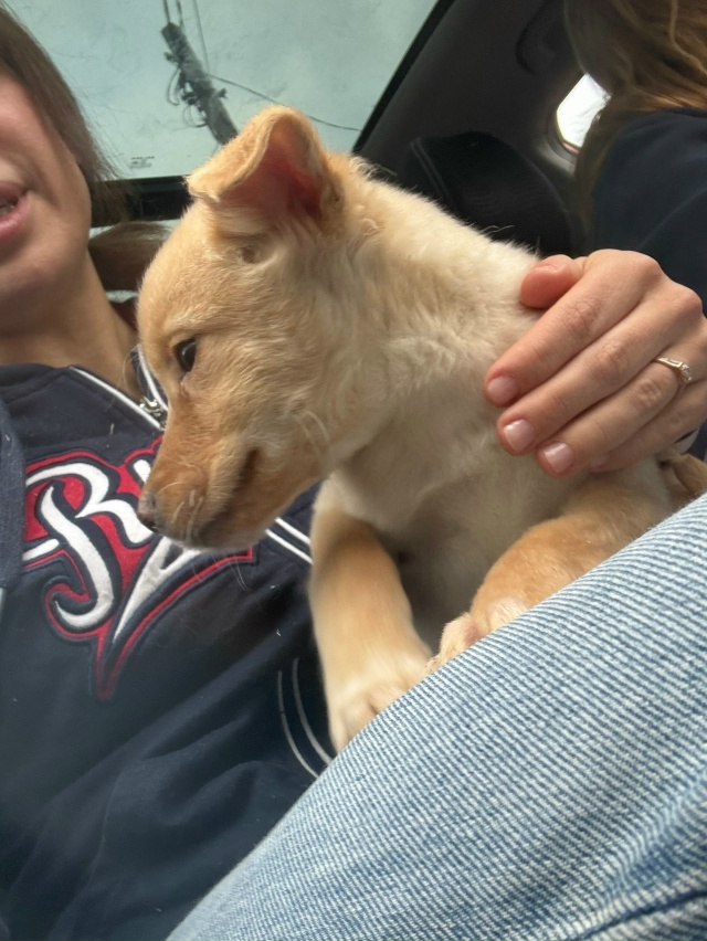 Здравствуйте! Разместите пожалуйста пост 🙏
Очень ище?...