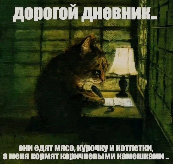 Ночная подборочка
Спать, режим