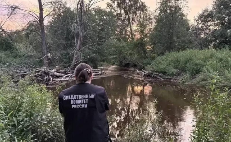 В Новгородской области мать погибла, пытаясь спасти тонущего сына.
Трагедия произошла во время отды