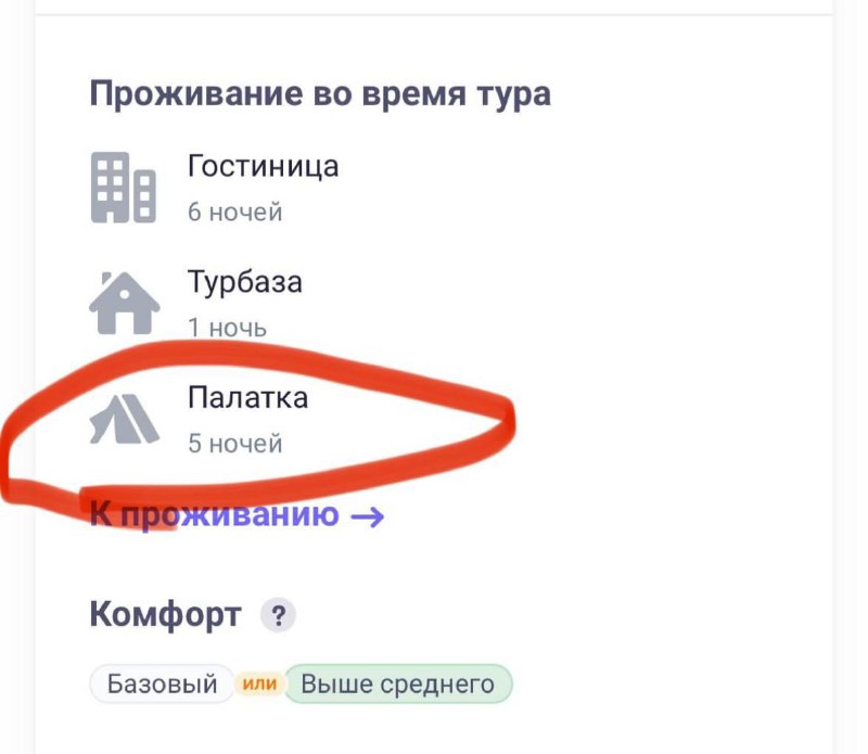 В сети появился тур на Камчатку с пятидневным проживанием в палатке рядом с местами обитания медведе